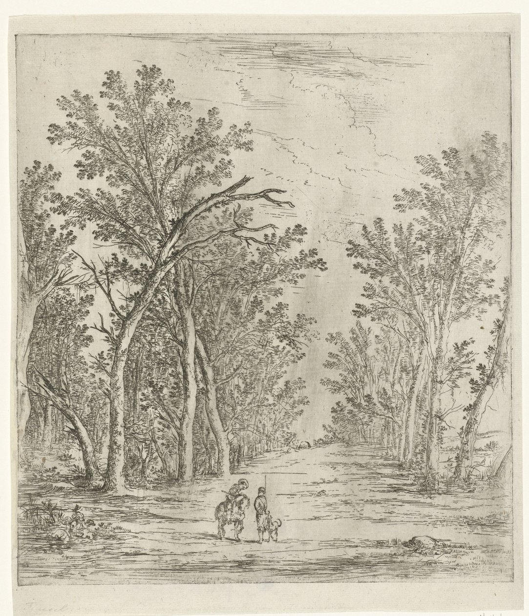 Sentier forestier - Jan Fouceel