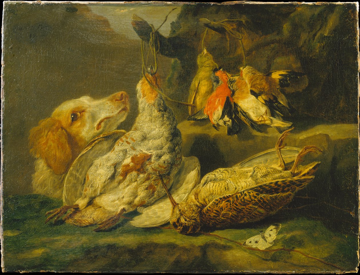 Stillleben mit Jagdhund und totem Geflügel - Jan Fyt
