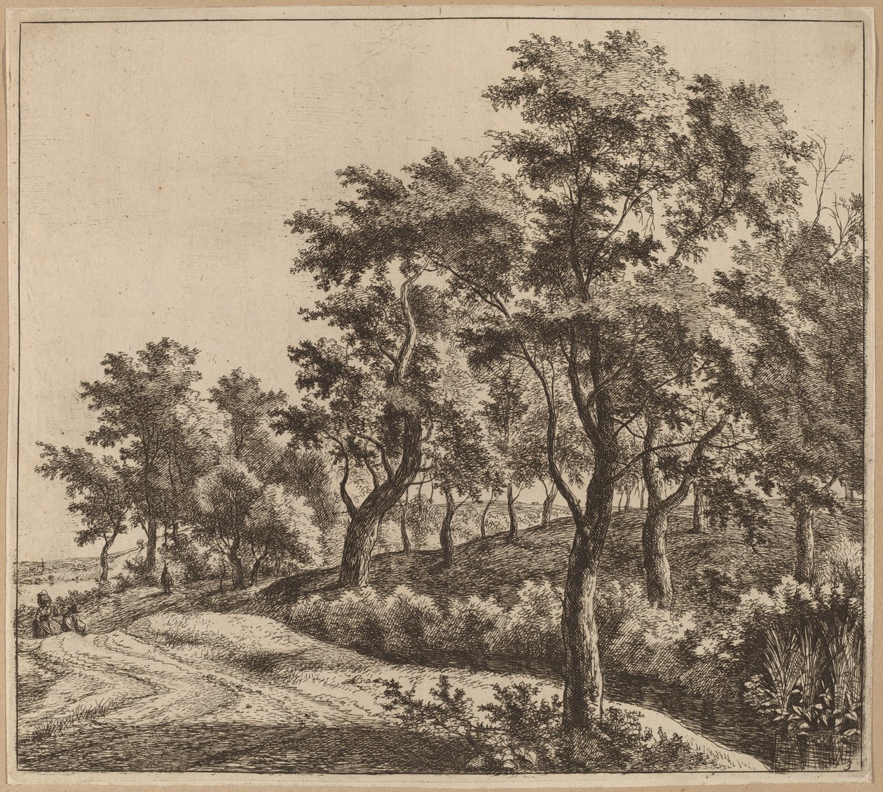 Paysage avec un ruisseau - Jan Hackaert