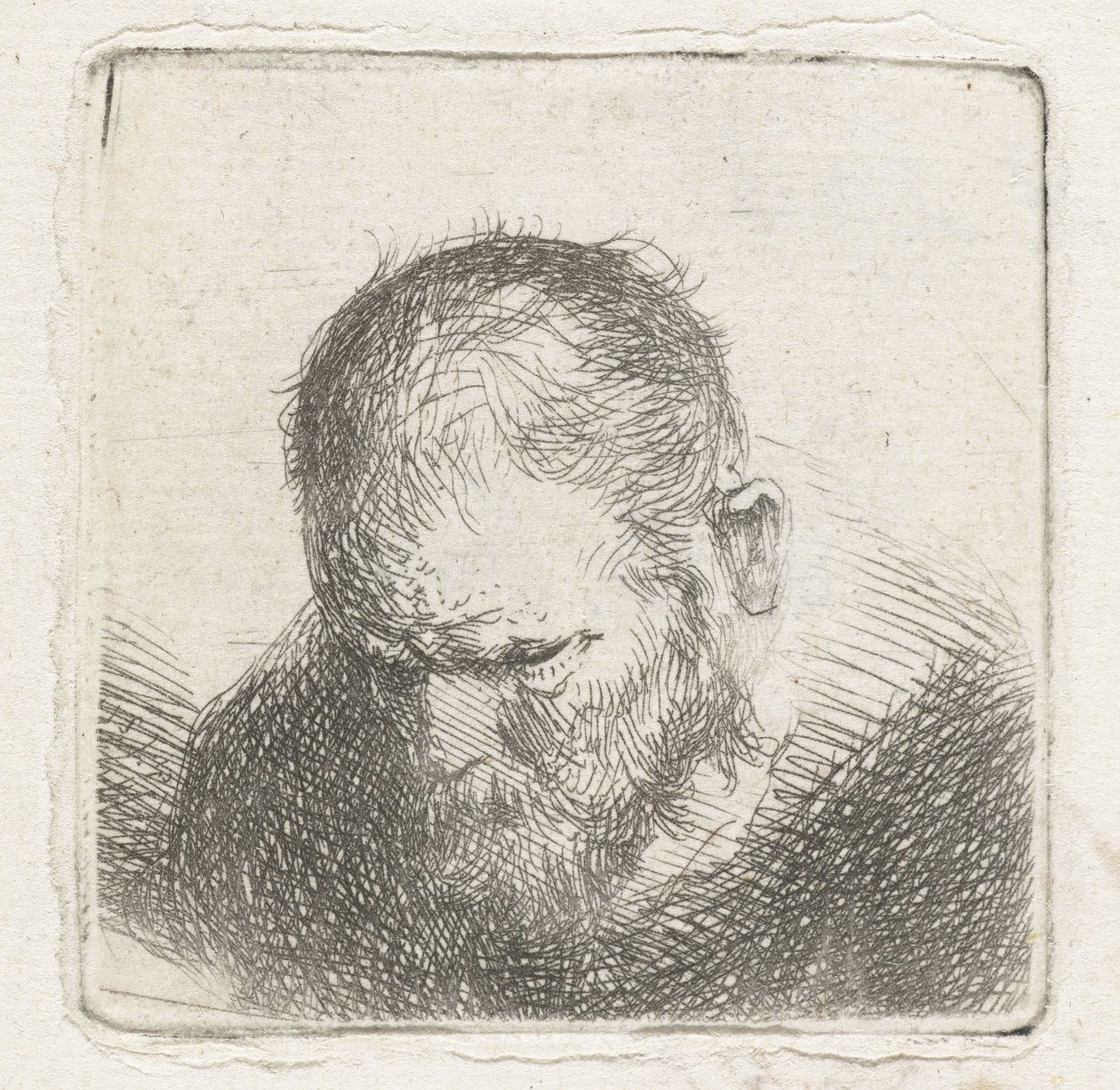 Homme avec barbe - Jan Lievens (possibly)