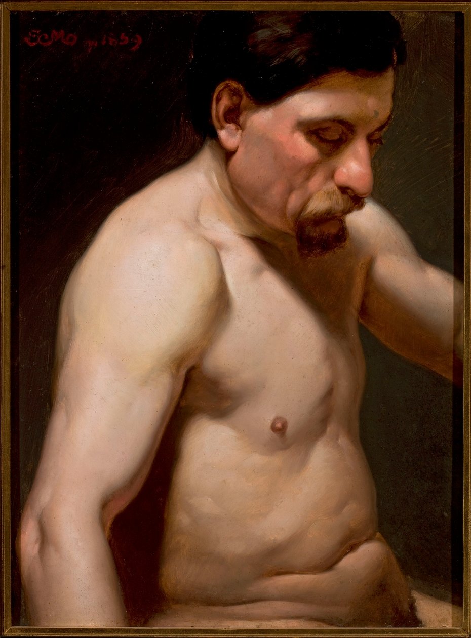 Demi-nu masculin - Jan Matejko