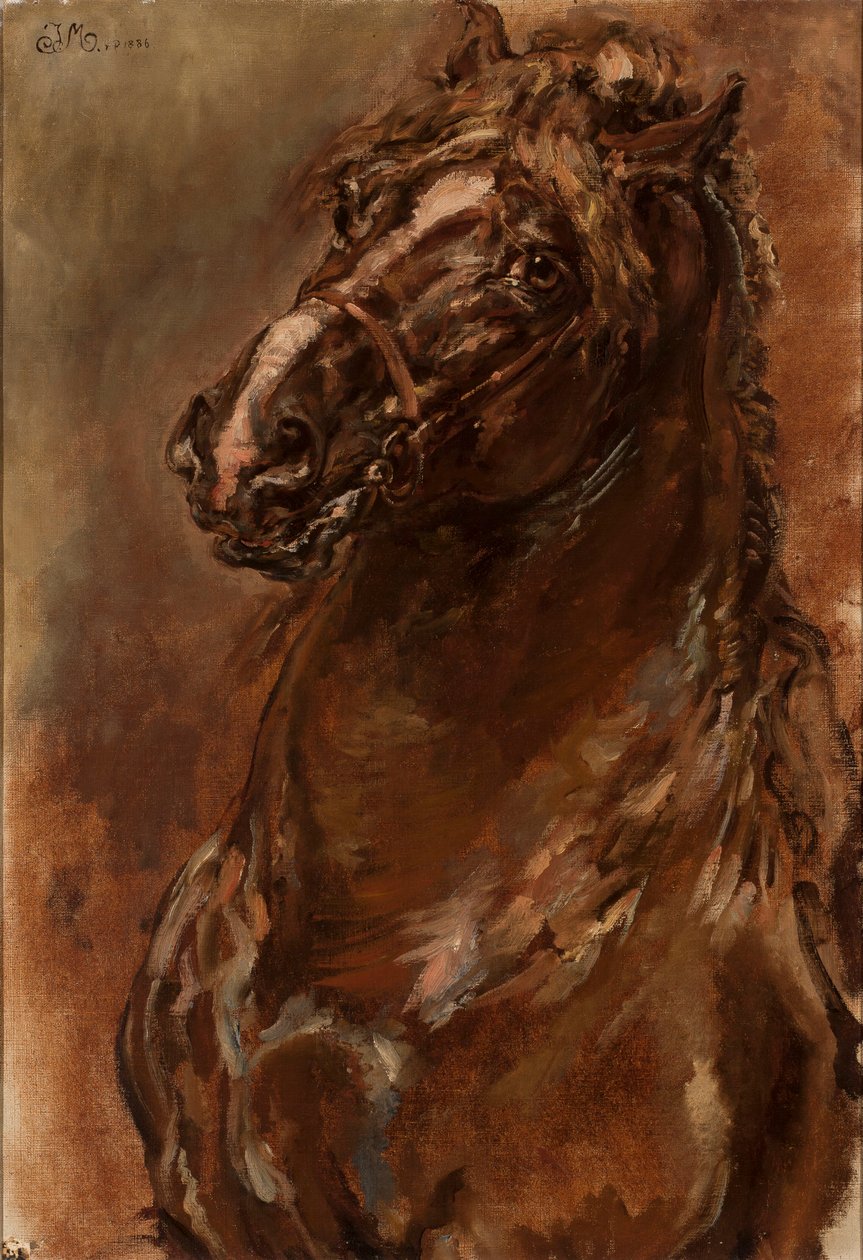 Étude de tête de cheval pour « La Pucelle d