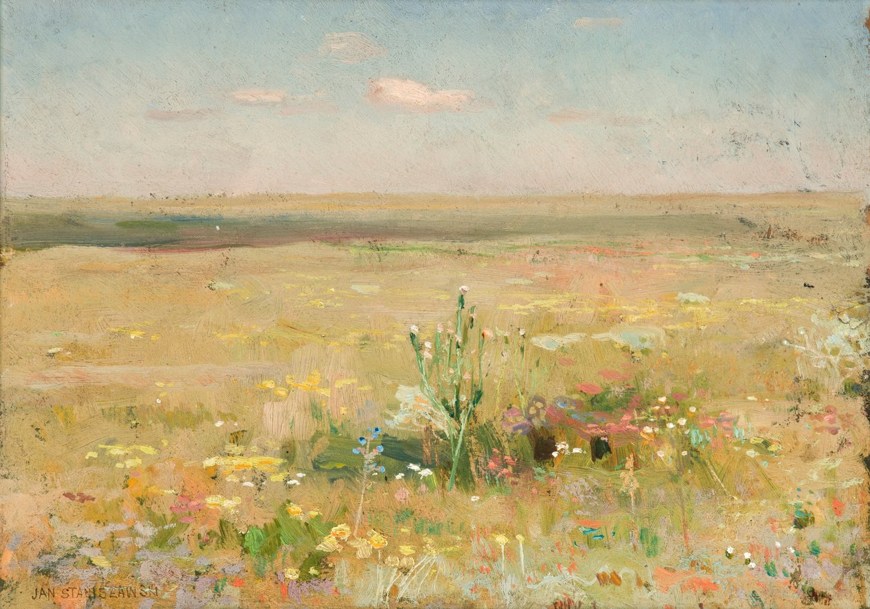 Steppe - Jan Stanislawski