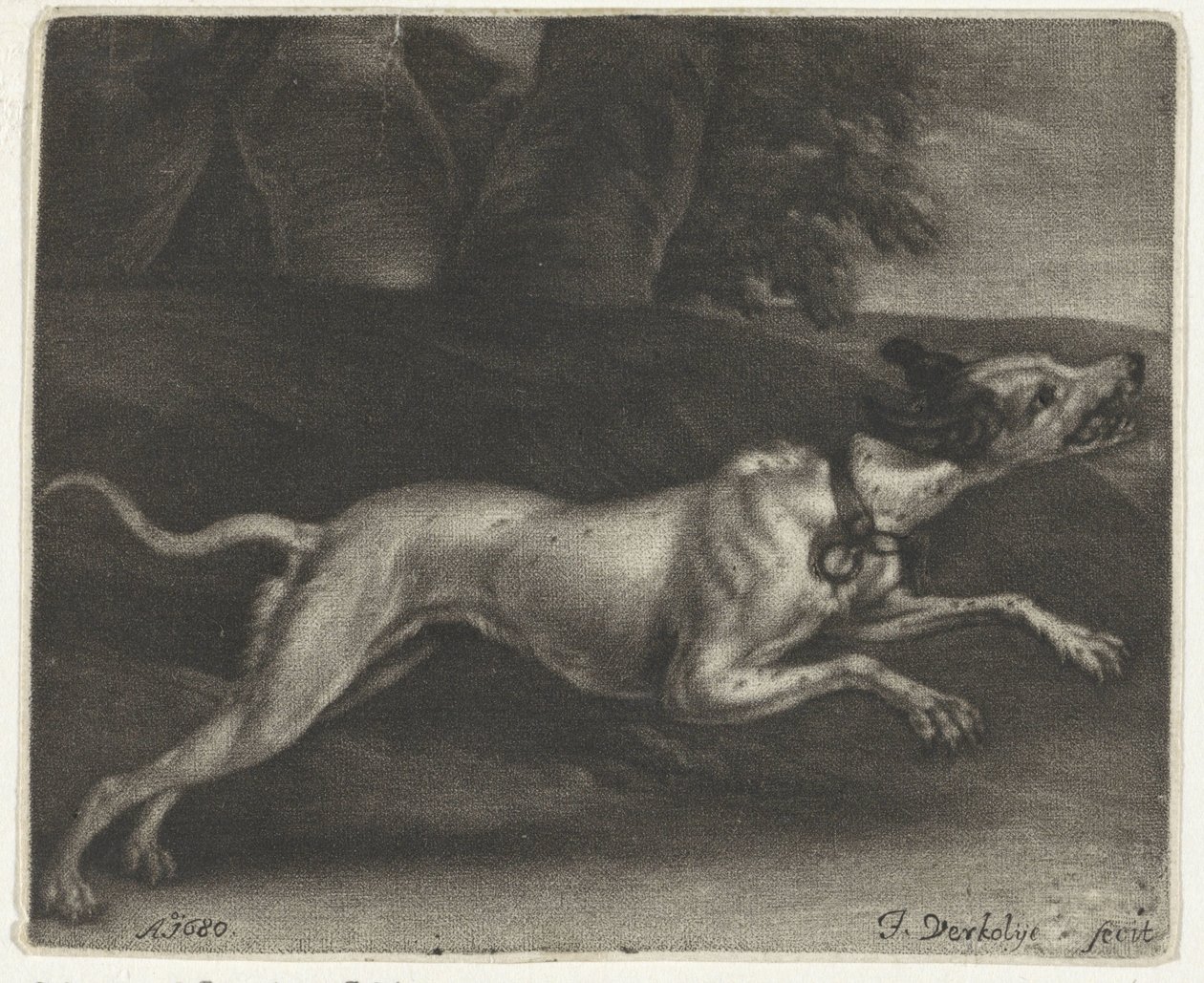 Chien courant - Jan Verkolje (I)