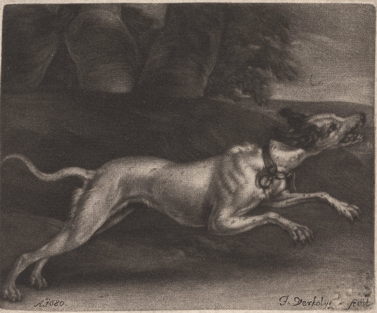 Un chien courant - Jan Verkolje