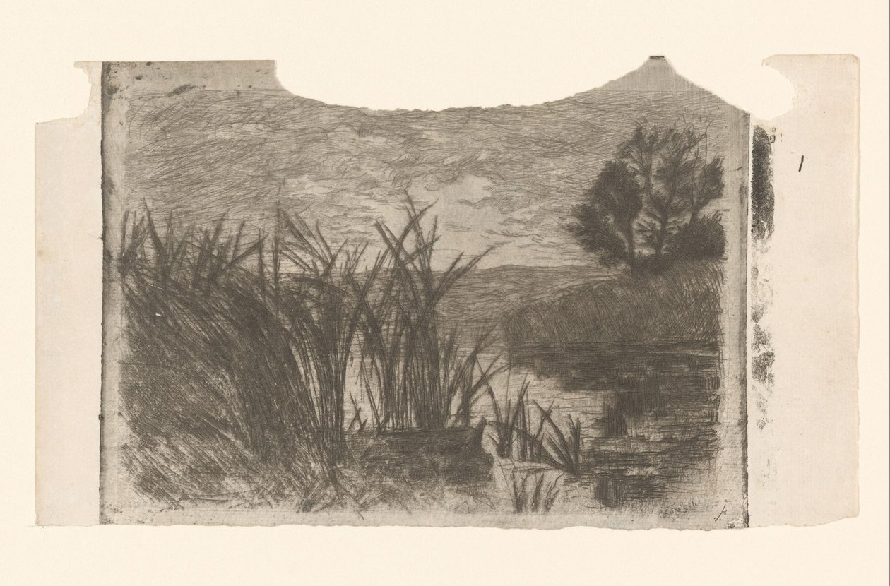 Paysage avec eau, roseaux et barque - Jan Veth