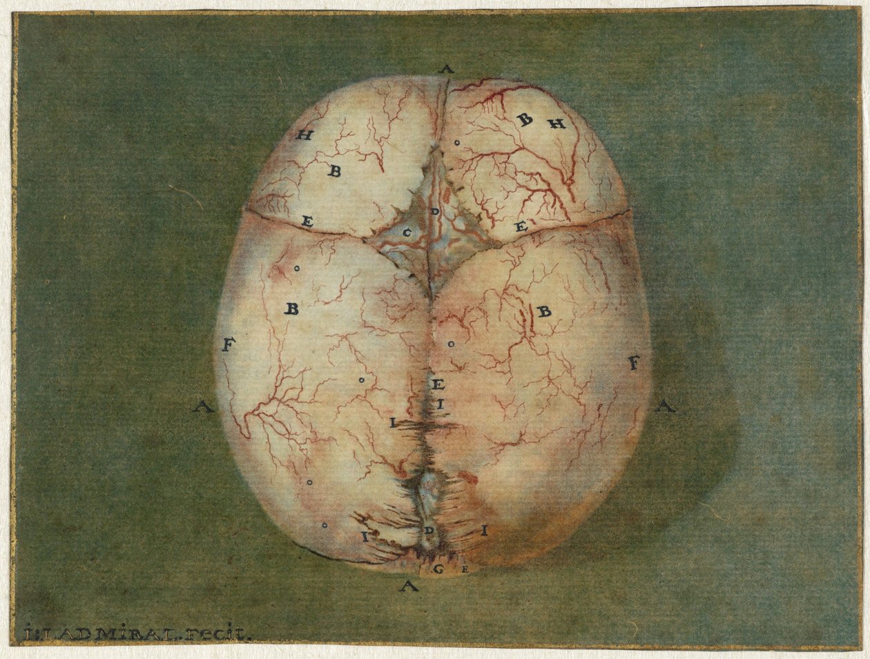 Impressions du cerveau et du cœur - Jan l