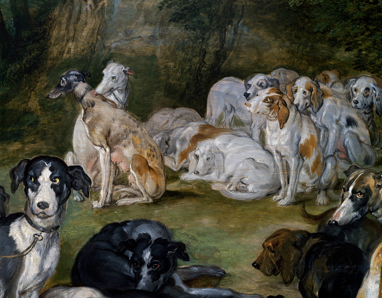 Chiens (détail) - Jan the Elder Brueghel