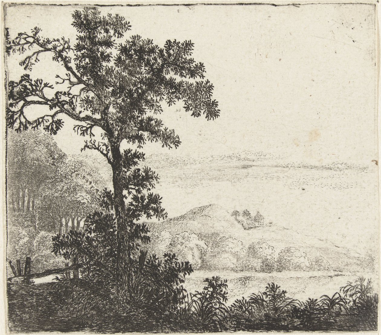 Paysage avec arbre au bord d