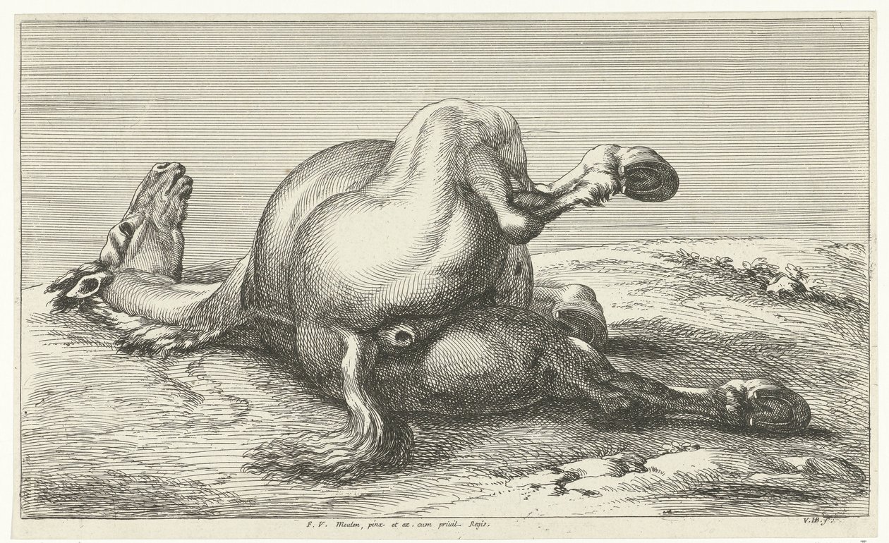 Cheval mort (Gesneuvelde paarden) - Jan van Huchtenburg