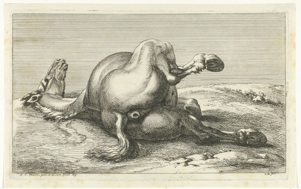Cheval mort vu de dos - Jan van Huchtenburg