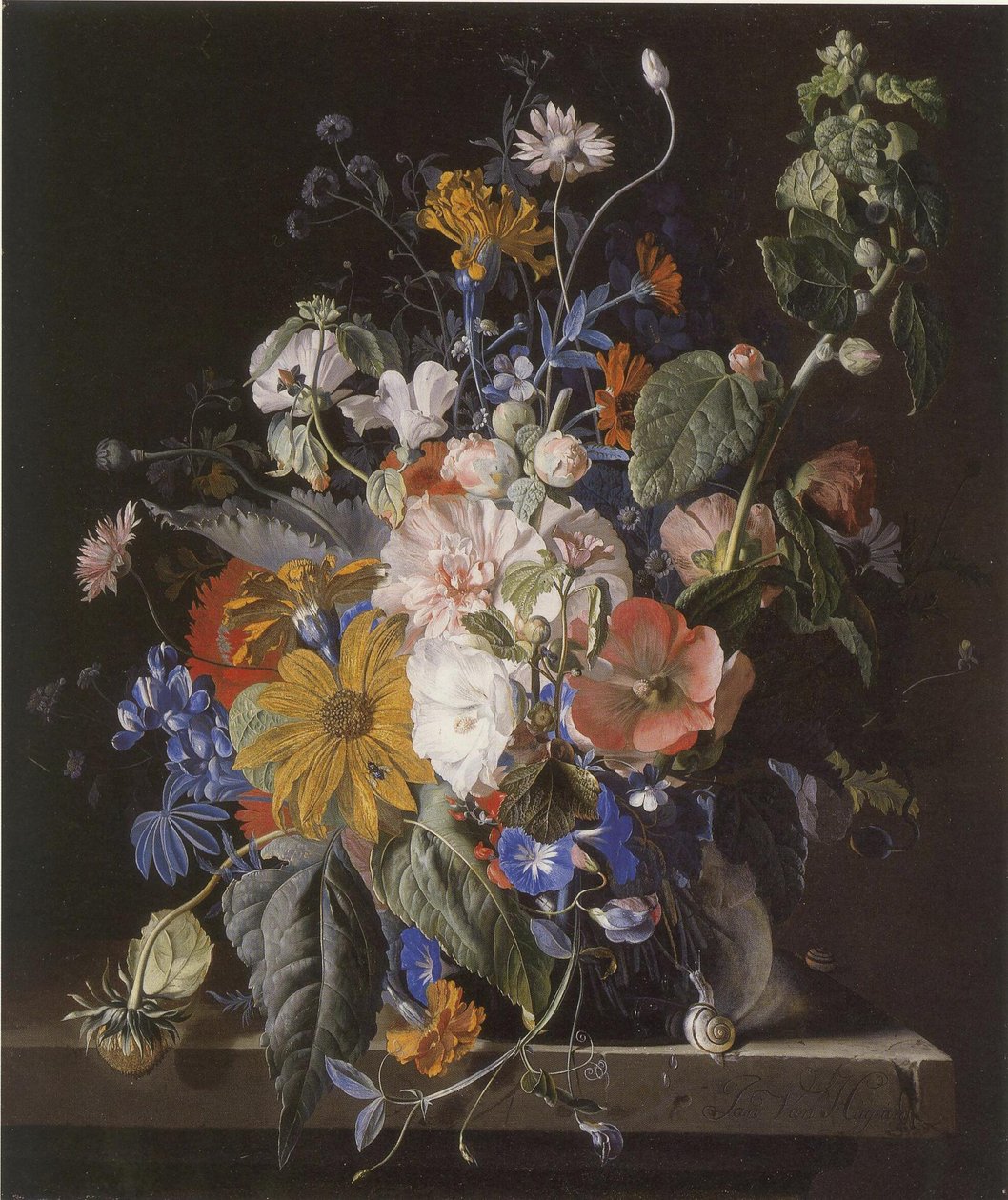 Nature morte de fleurs et escargots sur un rebord de pierre - Jan van Huysum