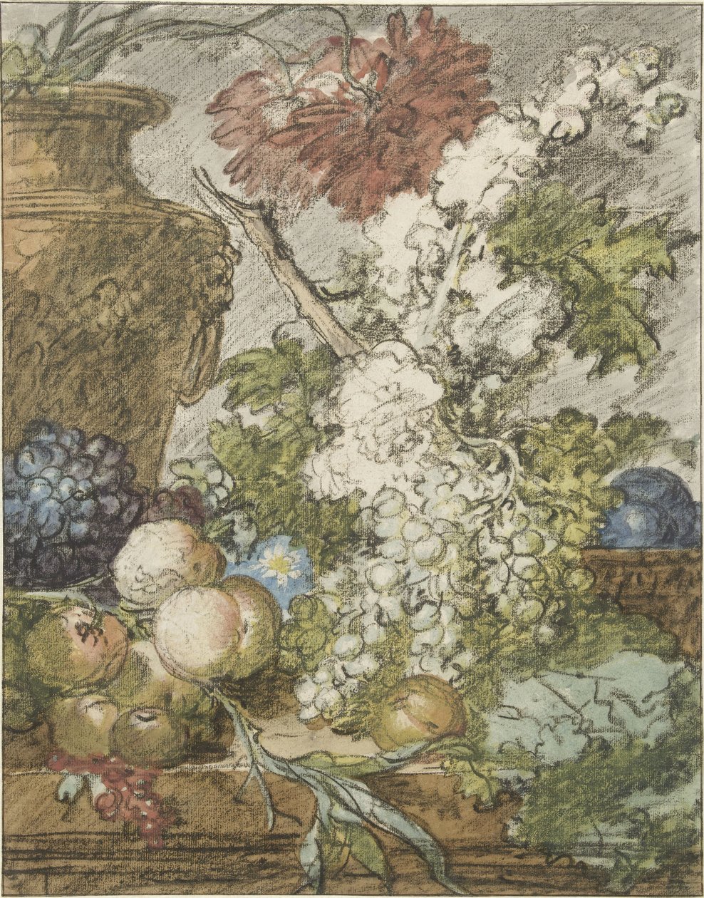 Schets voor een vruchten- en bloemenstuk - Jan van Huysum