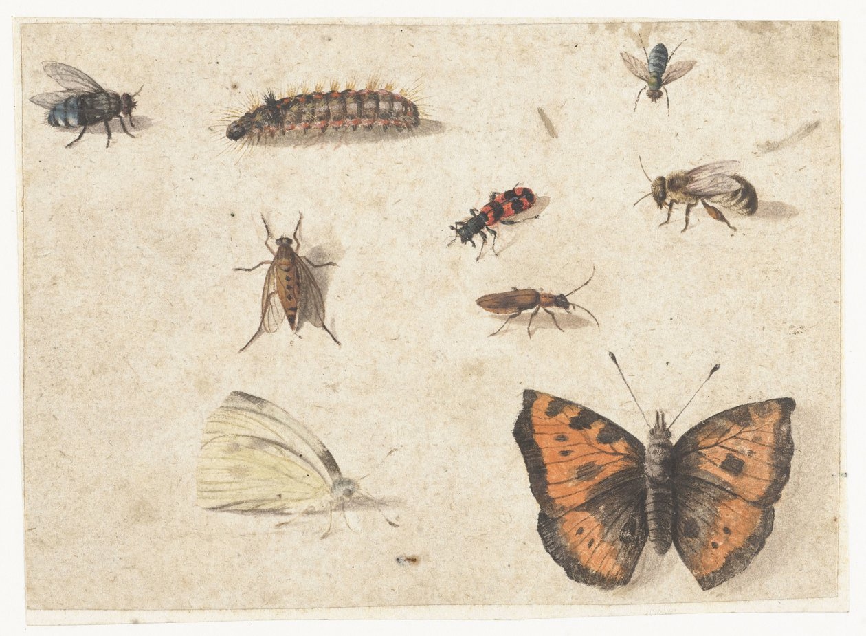 Feuille d