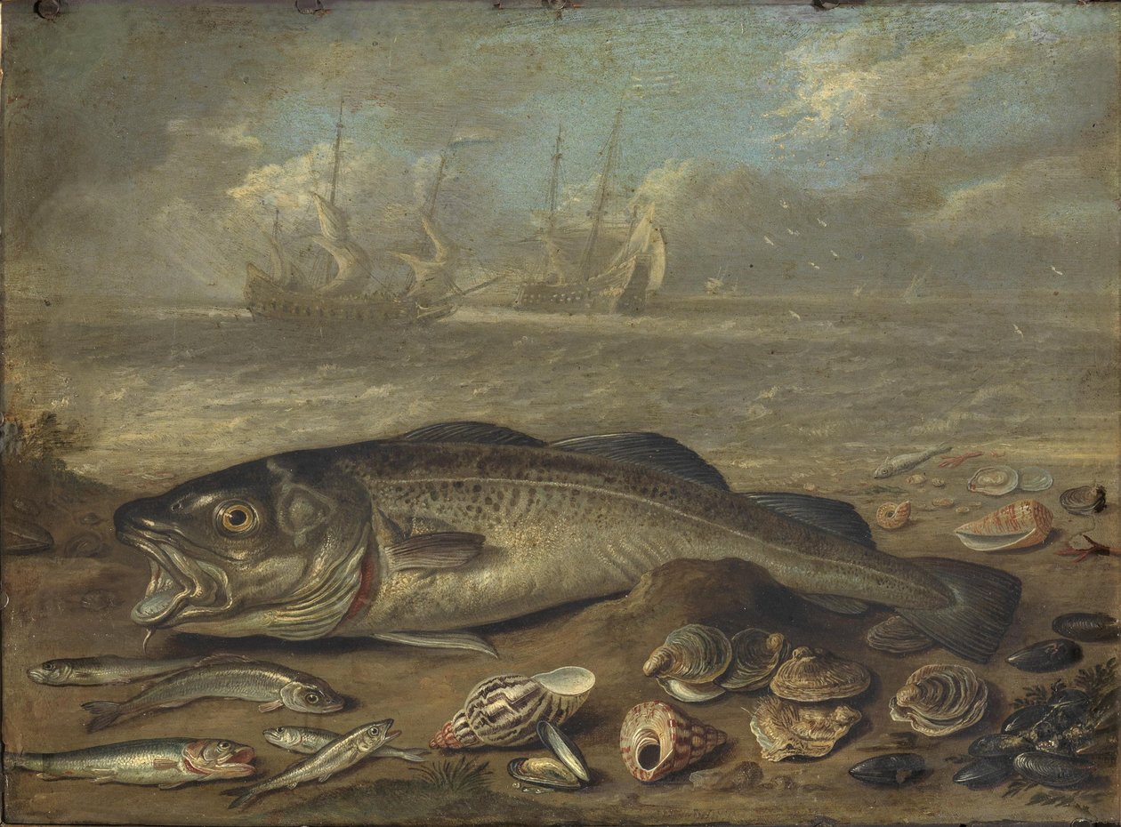 Poissons et paysages marins - Jan van Kessel the Elder