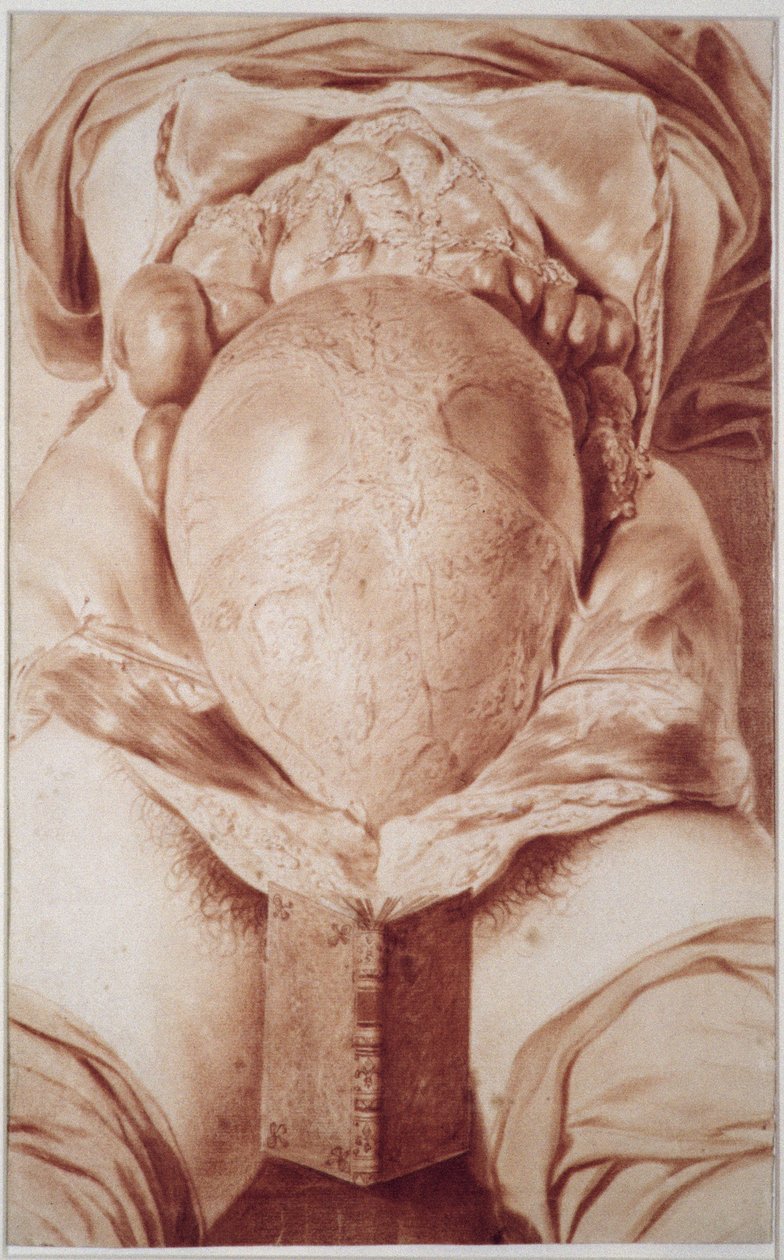 Dessin de la plaque XXVI du MS Hunter 658 du livre 