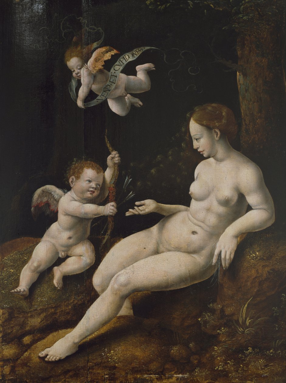 Vénus et Deux Cupidons - Jan van Scorel