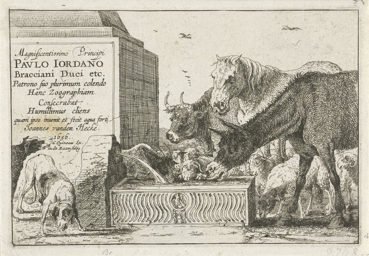 Animaux près d