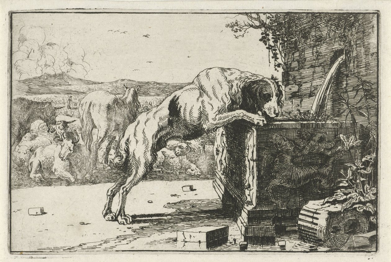 Chien près d