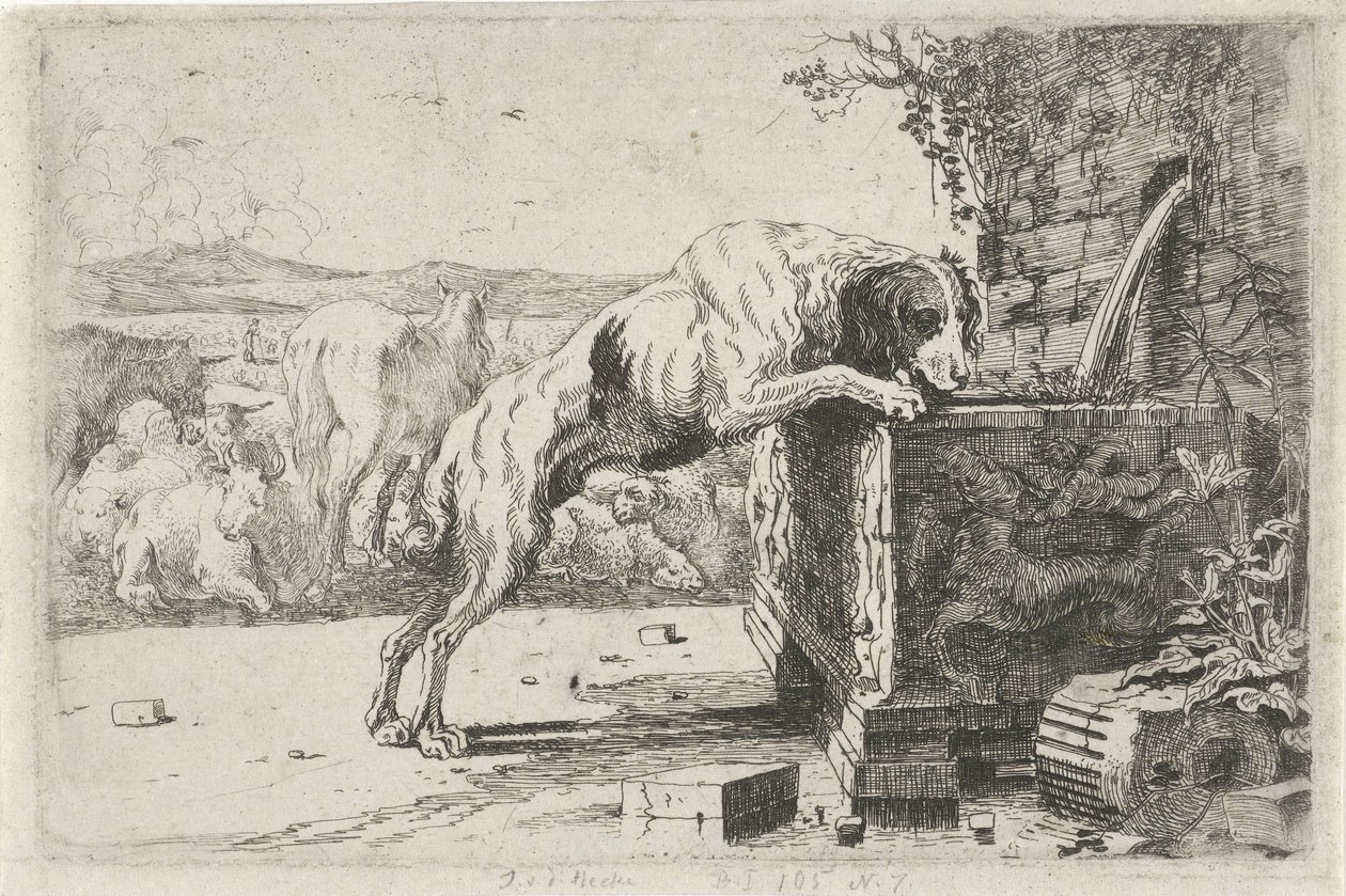 Chien près d
