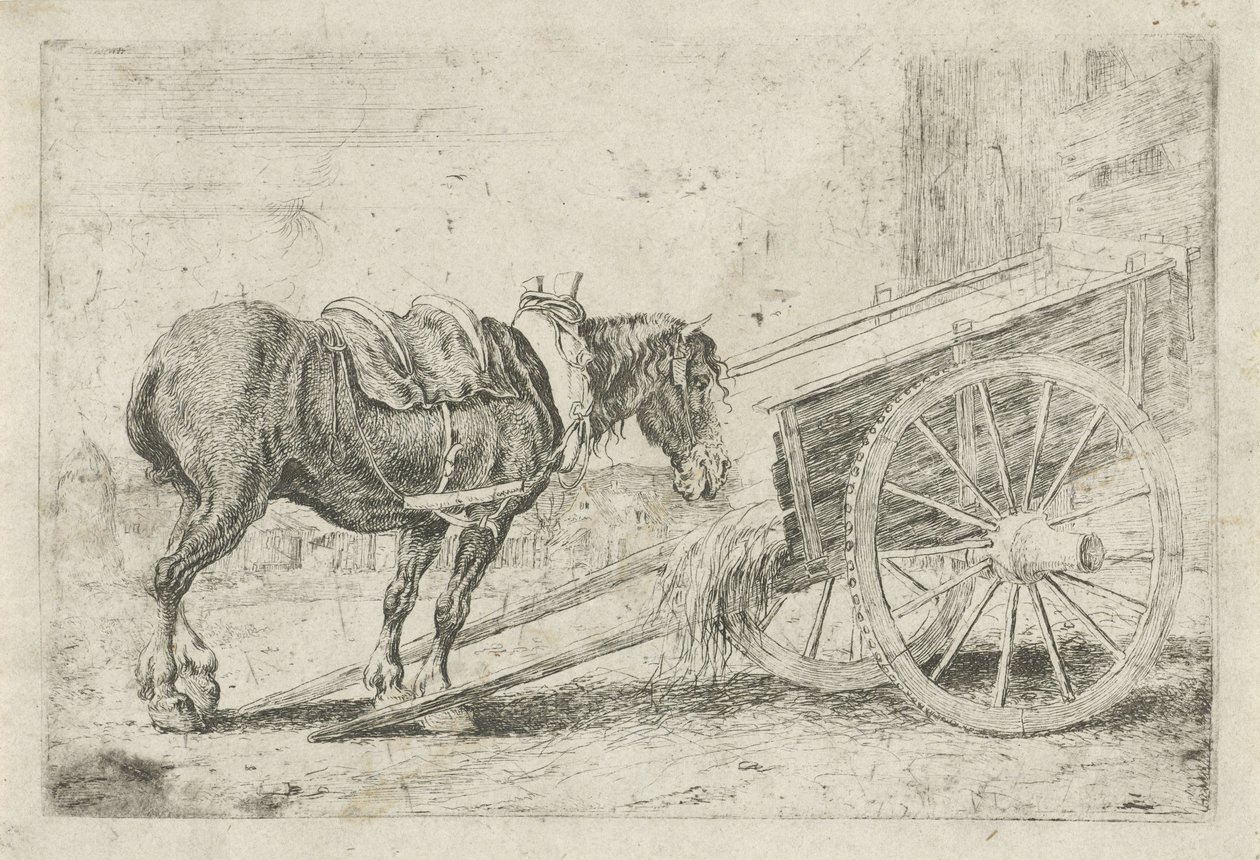 Cheval près d