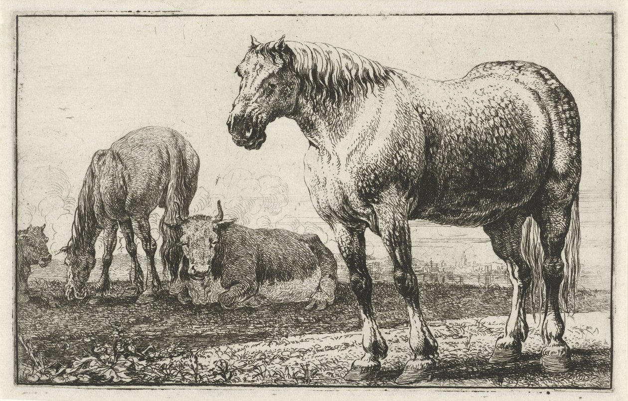 Chevaux et vaches (Dieren, Zoographiam) - Jan van den Hecke