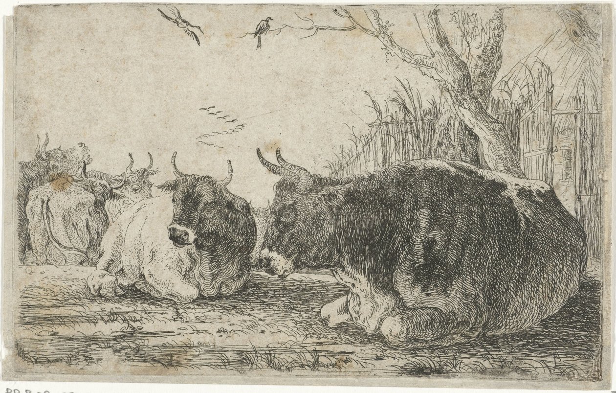 Vaches au repos (Dieren, Zoographiam) - Jan van den Hecke