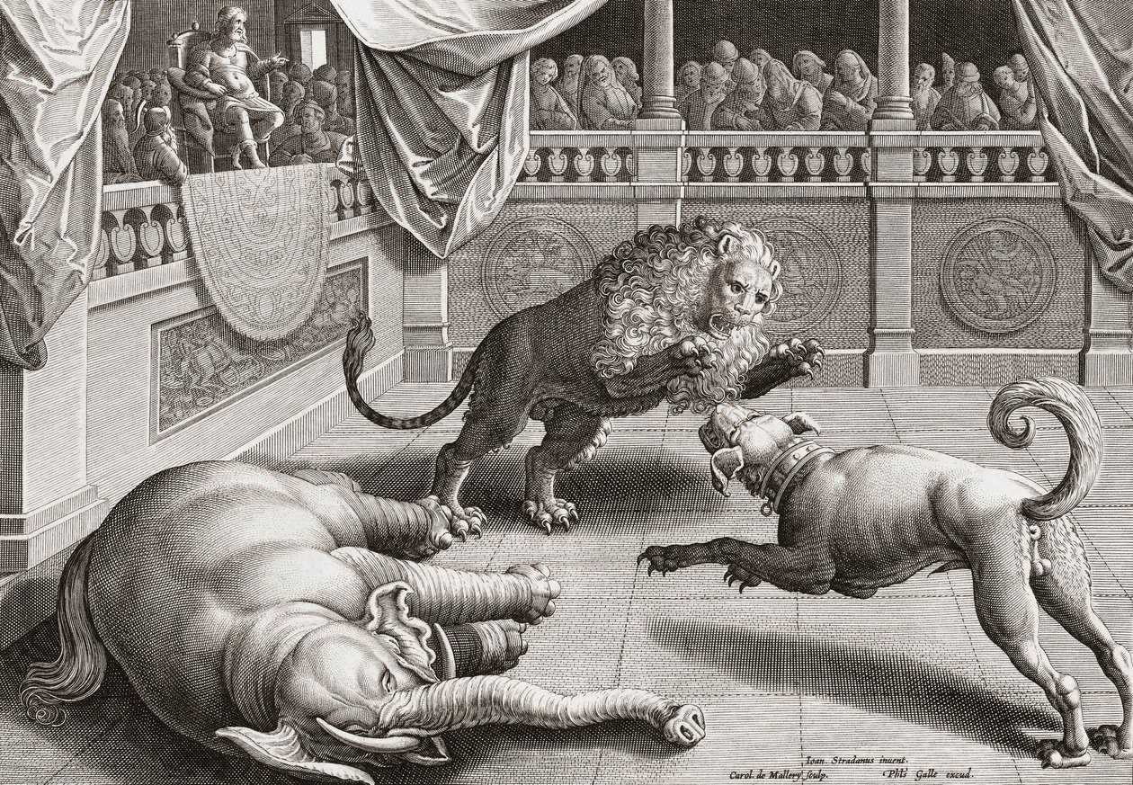 Alexandre le Grand regardant des animaux se battre, 16e siècle - Jan van der 1523-1605 after Straet