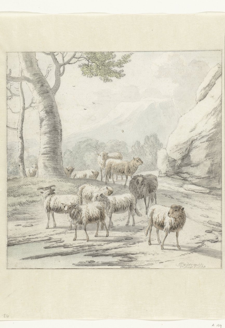 Paysage avec un troupeau de moutons près d