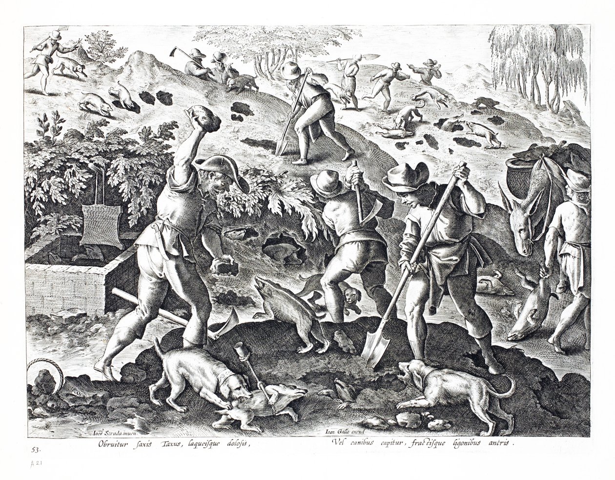 Creuser et capturer des blaireaux, illustration de 