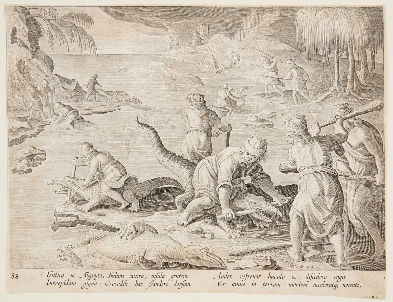 Chasse au crocodile à Tentyra, en Égypte, planche 30 de la série Venationes Ferarum, Avium, Piscium - Jan van der Straet, called Stradanus