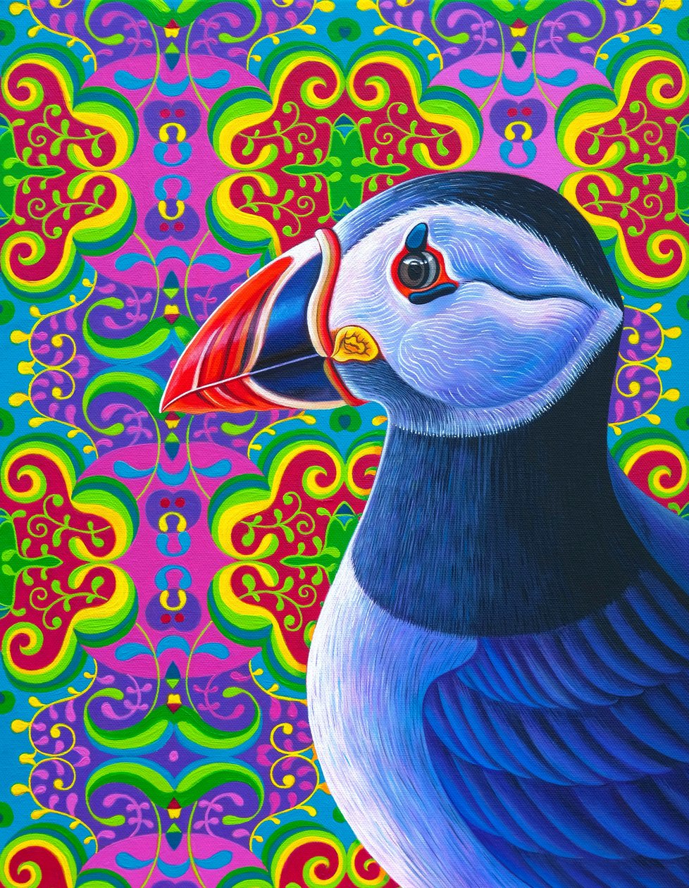 Macareux, 2018 - Jane Tattersfield