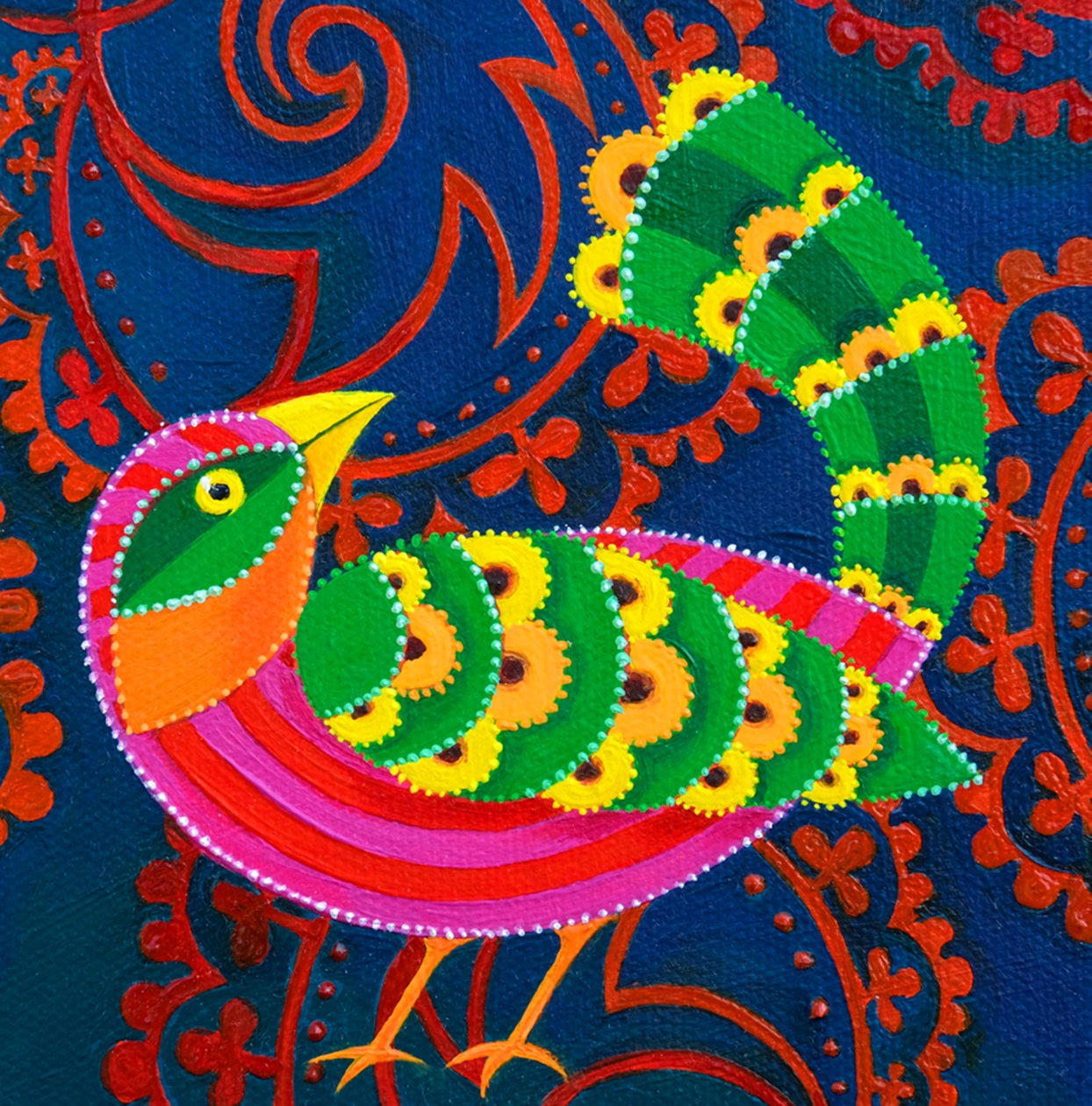 Oiseau à queue verte - Jane Tattersfield