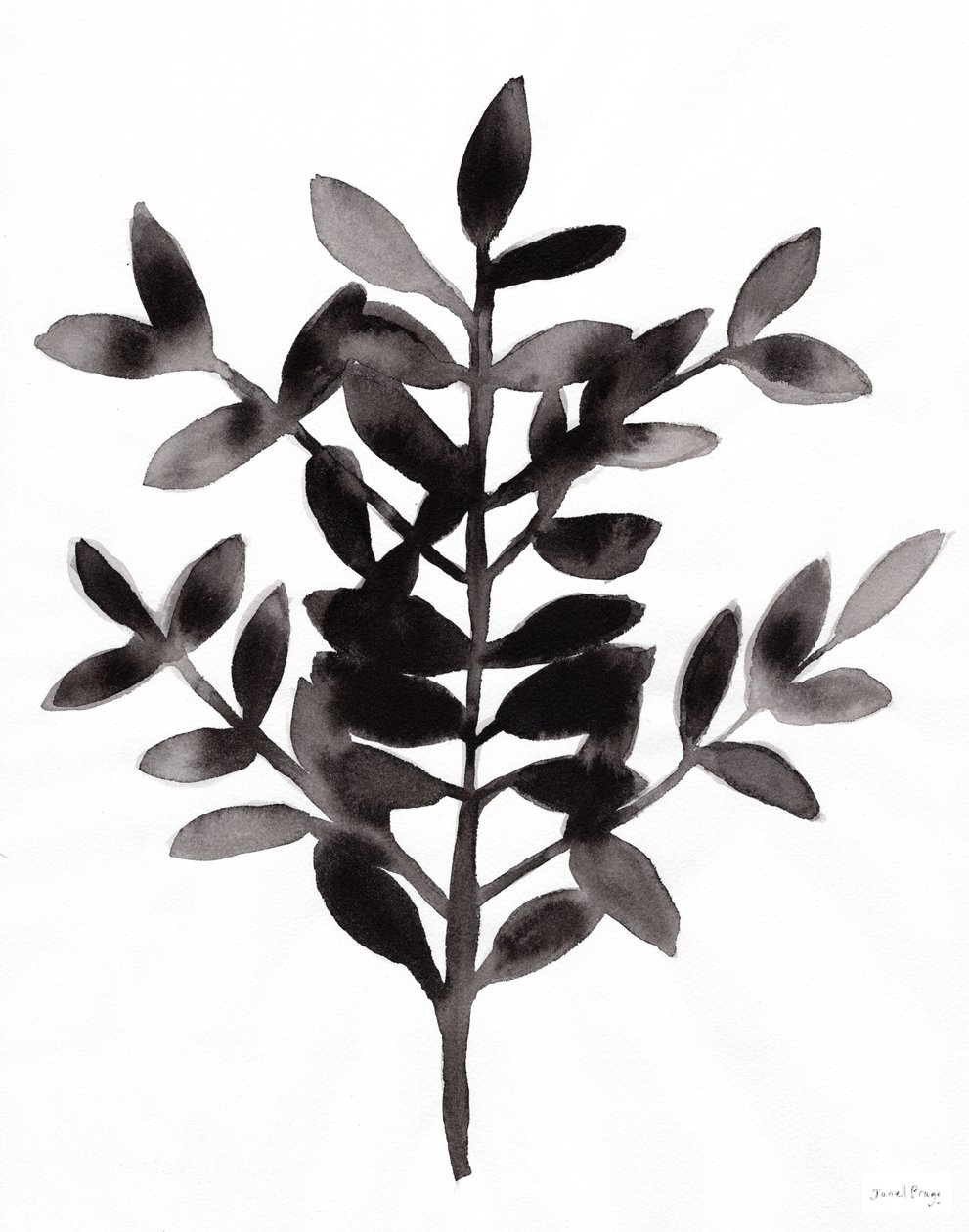 Botanique avec la fougère Nagi III (encre sur papier) - Janel Bragg