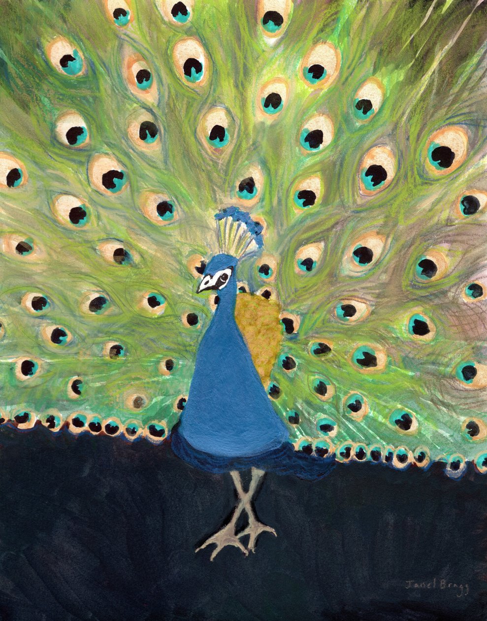 Paon au zoo de Woodland Park, vers 2024 (technique mixte sur papier) - Janel Bragg