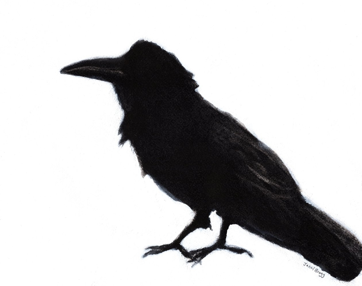 Corbeau à Baker Beach, vers 2023 (technique mixte sur papier) - Janel Bragg