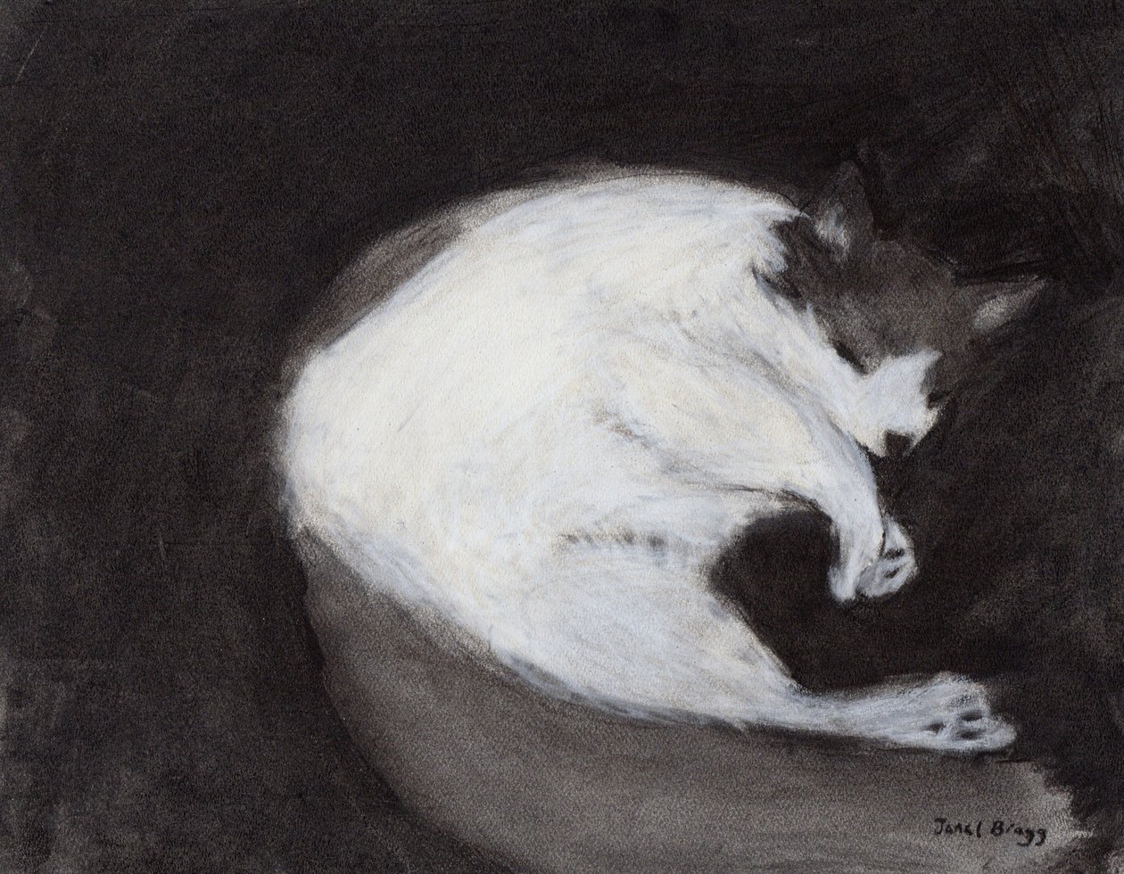 Thomas Taking a Nap, c. 2018 (fusain et pastel sur papier) - Janel Bragg