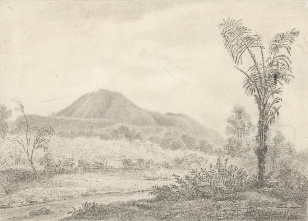 Paysage javanais avec montagne et palmier - Jannes Theodorus Bik