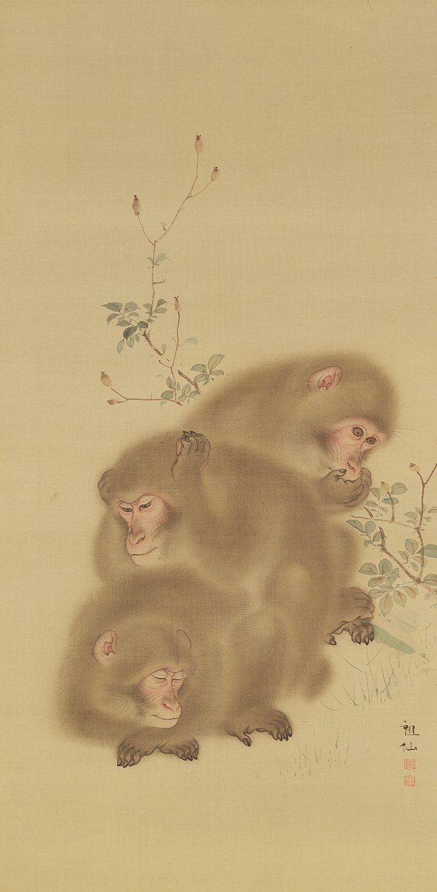 Famille de babouins - Japanese School