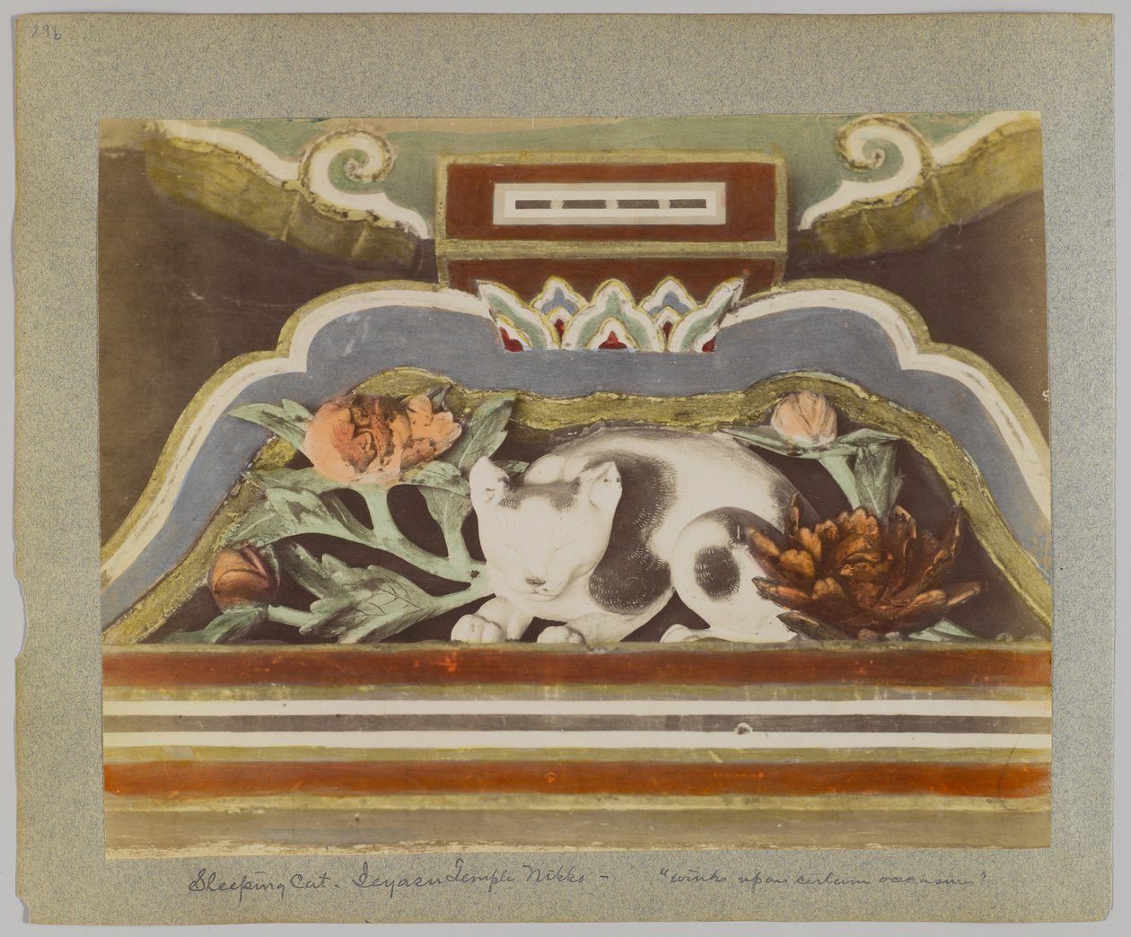 Chat endormi, détail du Tōshō-gū, Nikko, Japon - Japanese Photographer