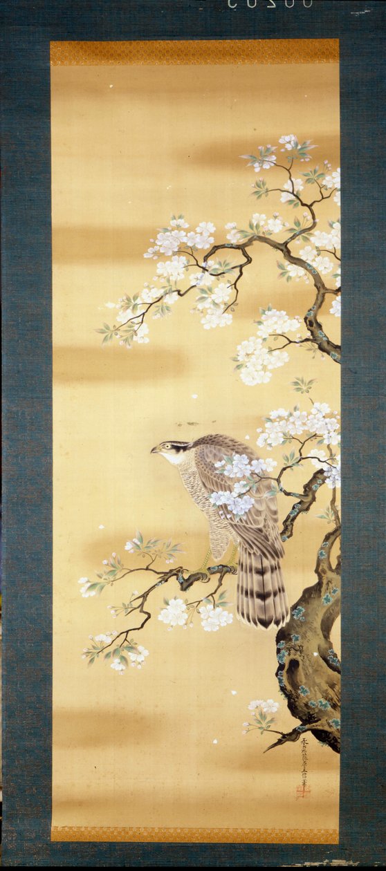Faucon sur une branche de cerisier japonais en fleurs. Peinture sur soie du 18ème siècle du Japon. Gênes. Museo Chiossone - Japanese School