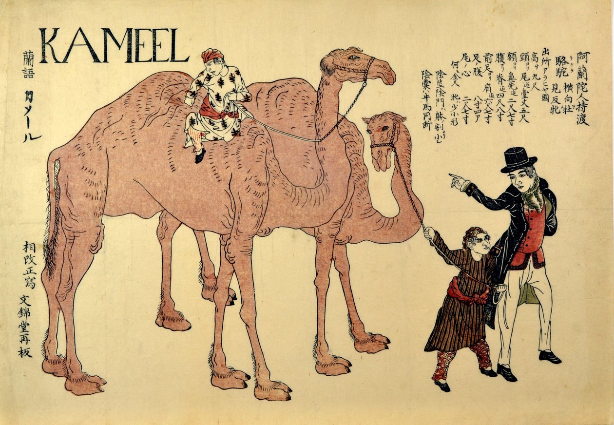 Kameel, pub. 1821 - Japanese School
