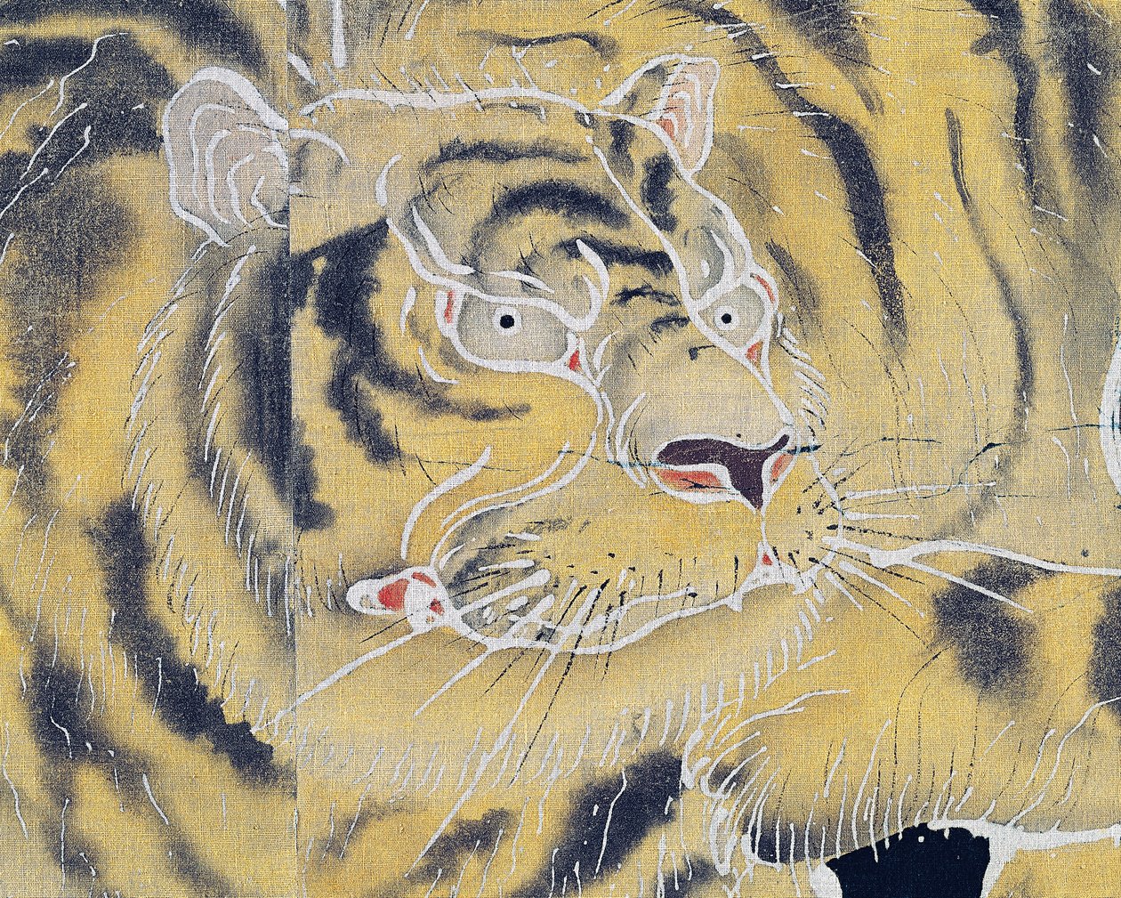 Museau de tigre, détail d
