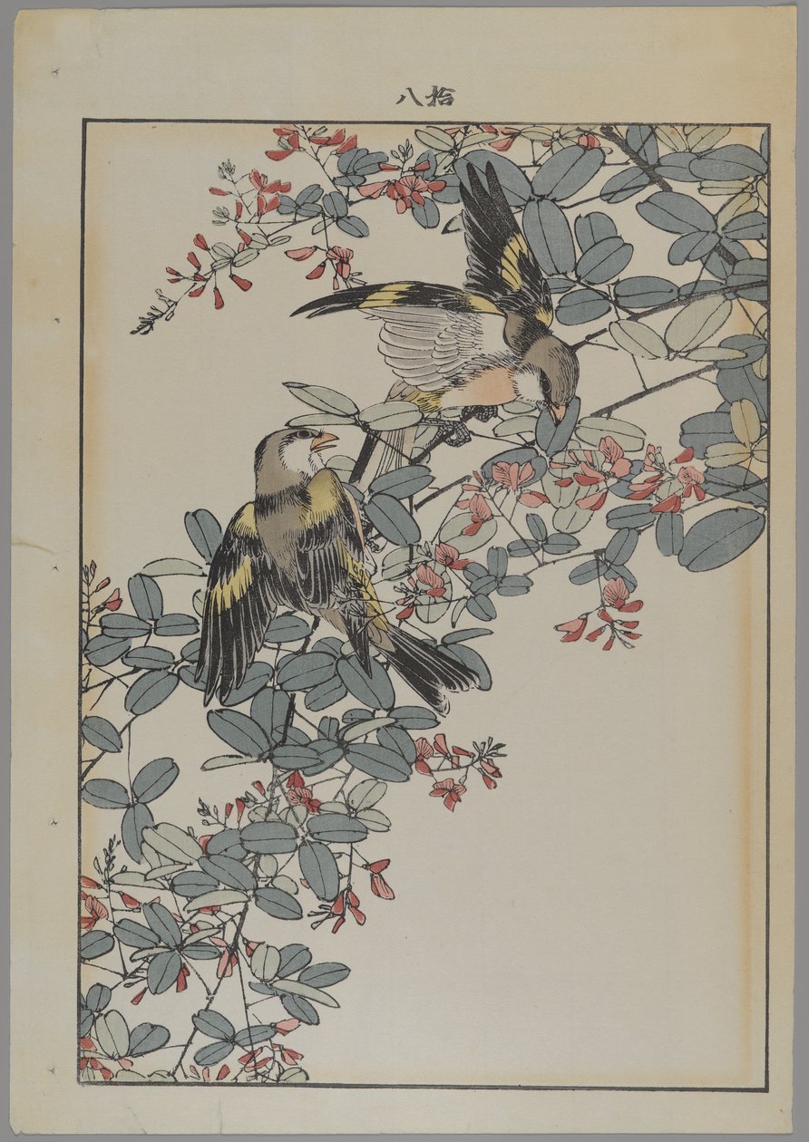 Deux oiseaux avec des fleurs roses, période Meiji, c.1868-1912 - Japanese School