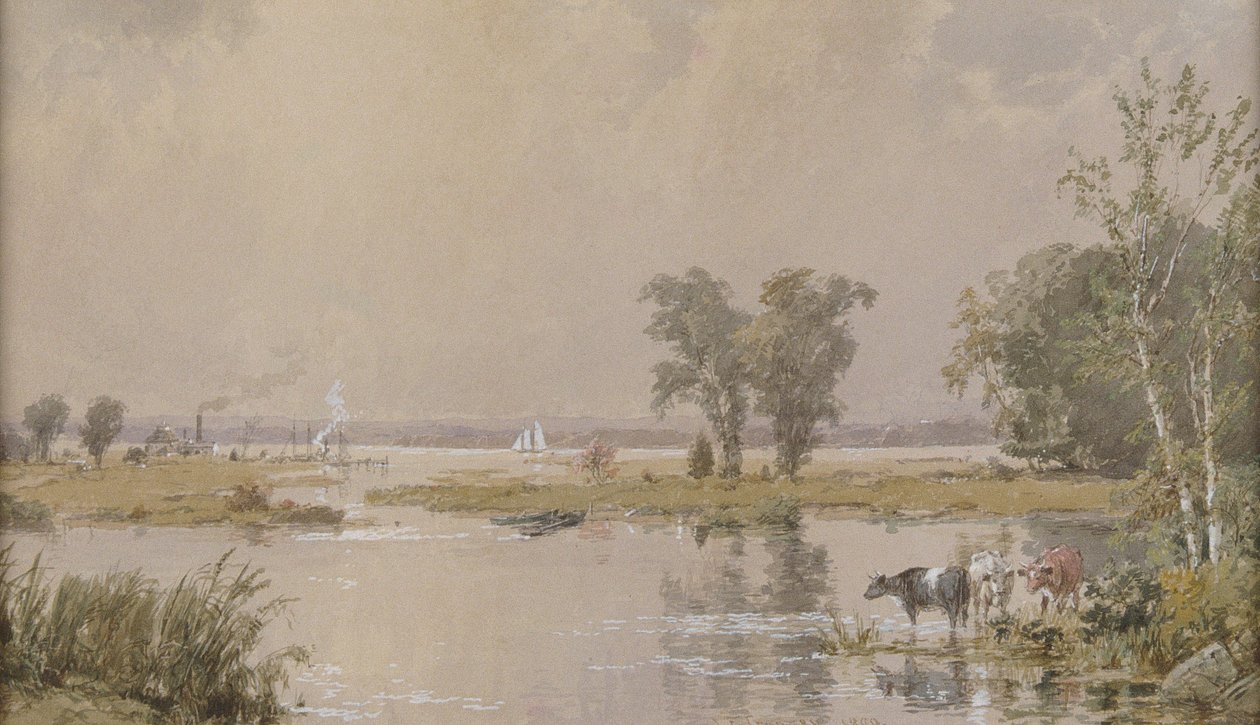 Hackensack Meadows - Jasper Francis Cropsey