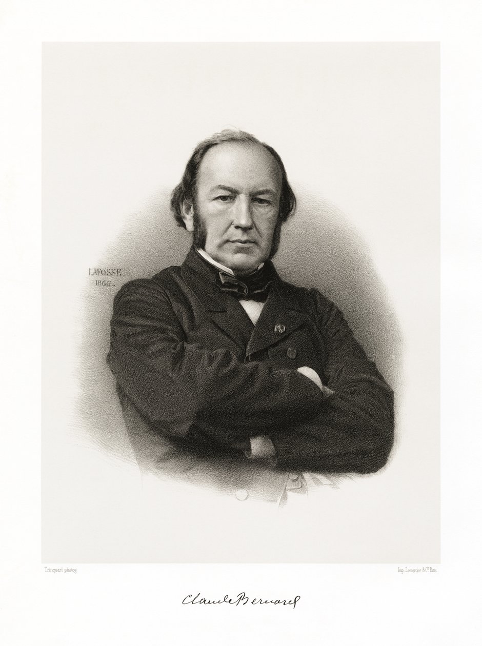 Claude Bernard - Jean Baptiste Adolphe Lafosse