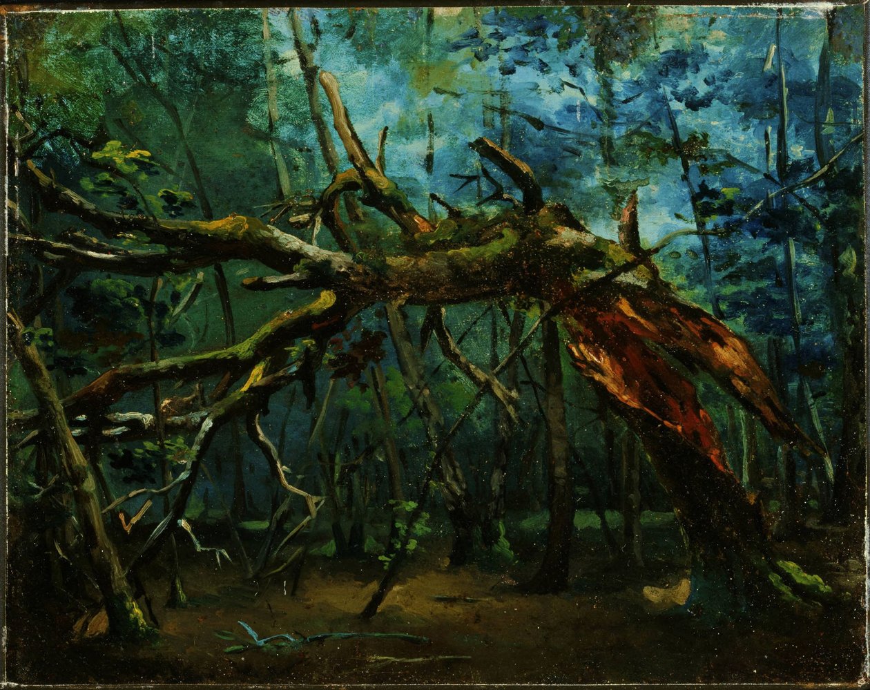 Un arbre tombé - Jean-Baptiste-Camille Corot