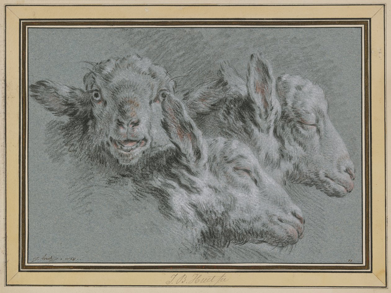 Trois têtes de mouton, éveillées et endormies - Jean-Baptiste Huet