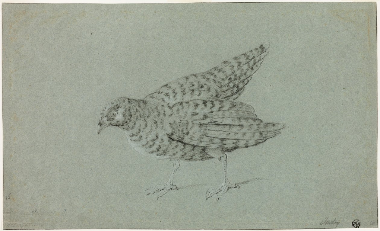 Perdrix - Jean-Baptiste Oudry