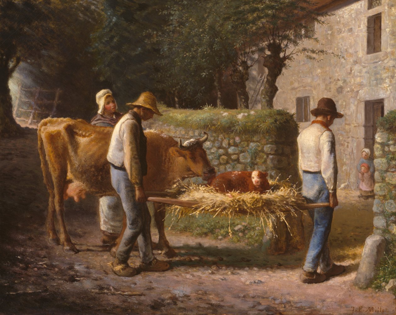 Paysans ramenant à la maison un veau né dans les champs - Jean-Francois Millet
